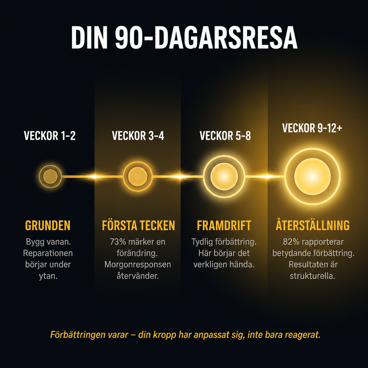 АpexDrive — Dubbla Terapisystem