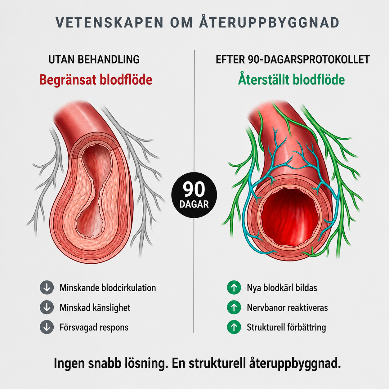 АpexDrive — Dubbla Terapisystem